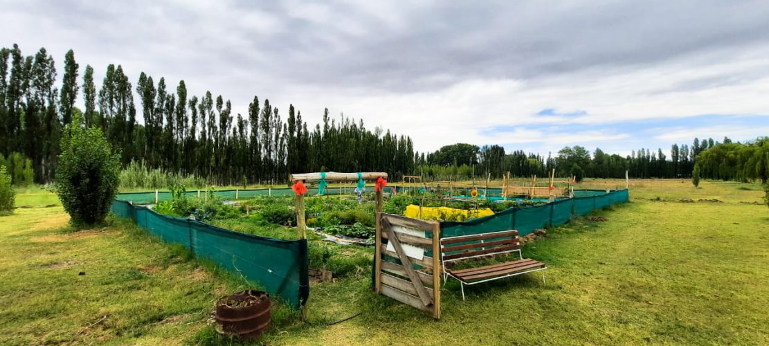 Una Huerta Comunitaria, cosas que pasan en la chacra de SOSUNC