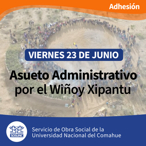 Viernes 23: asueto por el Wiñoy Xipantu