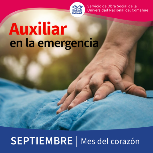 Auxiliar en la emergencia