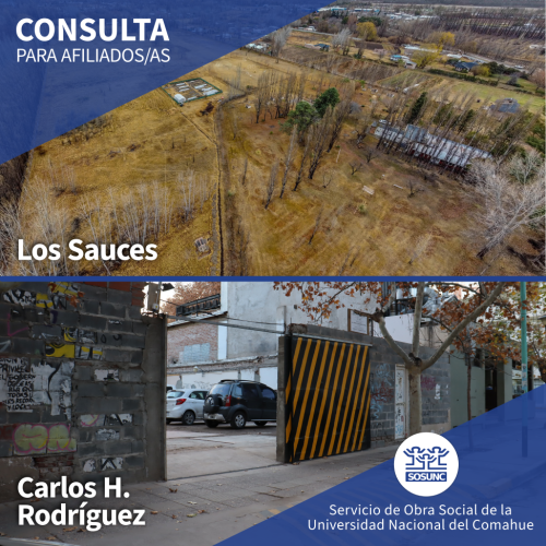 Consulta: Los Sauces y Carlos H. Rodríguez