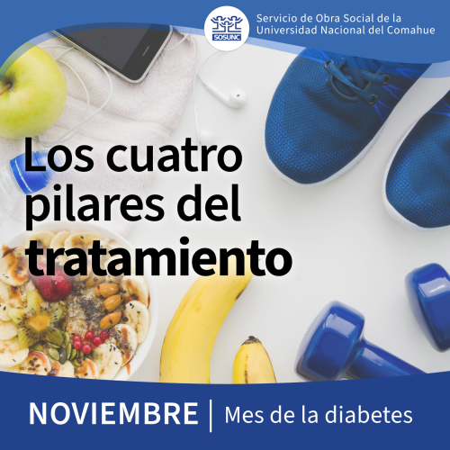 Los cuatro pilares del tratamiento