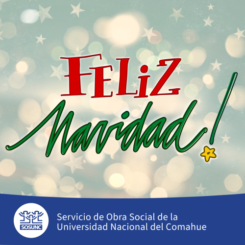 Les deseamos una feliz Navidad 
