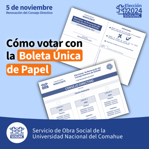 Cómo votar con la Boleta Única de Papel