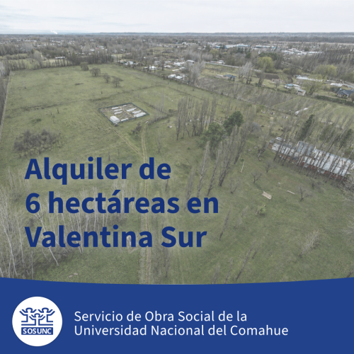 Alquiler de 6 hectáreas en Valentina Sur